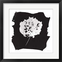 Nature by the Lake Flowers I Black Framed Print