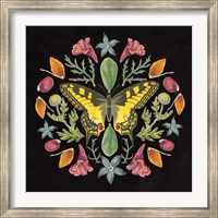 Butterfly Mandala III Black Fine Art Print