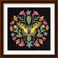 Butterfly Mandala III Black Fine Art Print
