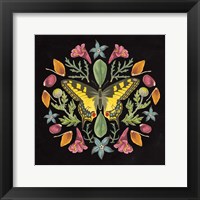 Butterfly Mandala III Black Fine Art Print