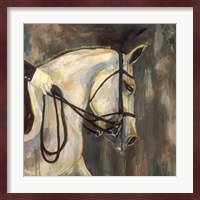 Dressage v2 Fine Art Print