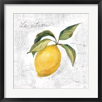 Le Citron on White Fine Art Print