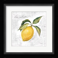 Le Citron on White Framed Print