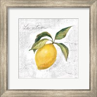 Le Citron on White Fine Art Print