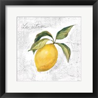 Le Citron on White Framed Print
