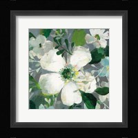 Anemone and Friends II Framed Print