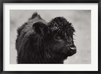 Scottish Highland Cattle XI BW Fine Art Print