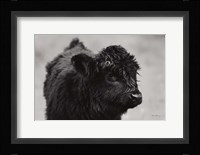 Scottish Highland Cattle XI BW Fine Art Print