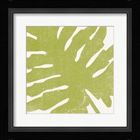 Tropical Treasures IV Framed Print