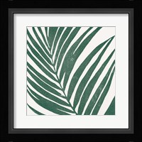 Tropical Treasures III Framed Print