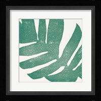 Tropical Treasures II Framed Print