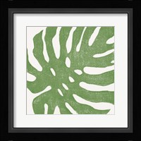 Tropical Treasures I Framed Print