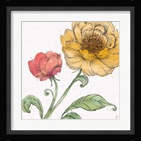 Blossom Sketches III Color Framed Print