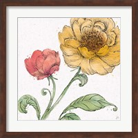 Blossom Sketches III Color Fine Art Print
