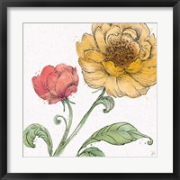 Blossom Sketches III Color Fine Art Print
