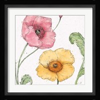 Blossom Sketches I Color Framed Print