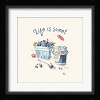 Summer Garden XVI Framed Print