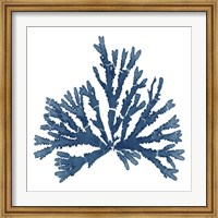 Pacific Sea Mosses Blue on White IV Fine Art Print