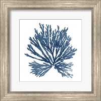 Pacific Sea Mosses Blue on White II Fine Art Print