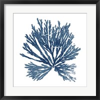 Pacific Sea Mosses Blue on White II Framed Print