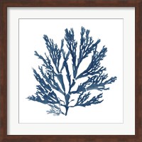 Pacific Sea Mosses Blue on White I Fine Art Print