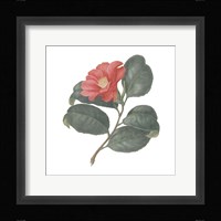 Monument Etching Tile Flowers VII Framed Print