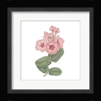 Monument Etching Tile Flowers VI Framed Print