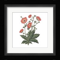 Monument Etching Tile Flowers V Framed Print