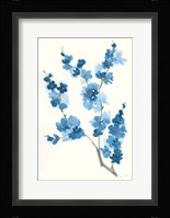 Blue Branch IV Framed Print