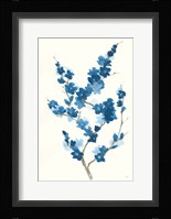 Blue Branch II Framed Print