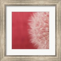Dandelion on Red II Fine Art Print