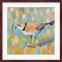 Coastal Plover IV Fine Art Print