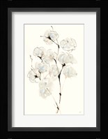 Summer Cotton IV Framed Print