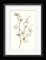 Summer Cotton I Framed Print