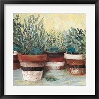 Potted Herbs II Stripes Crop Fine Art Print