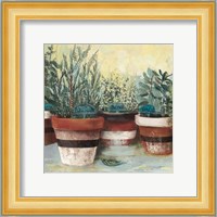 Potted Herbs II Stripes Crop Fine Art Print