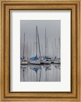Sailing Boats Fine Art Print