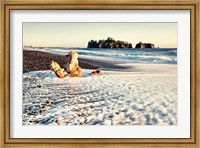 Washed on Shore Fine Art Print