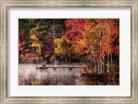 Woodland Dock Fine Art Print