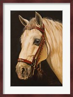 Horse Fine Art Print