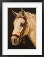 Horse Fine Art Print