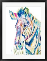 Colorful Zebra Fine Art Print