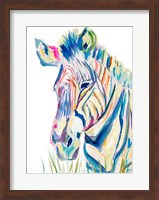 Colorful Zebra Fine Art Print