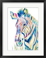 Colorful Zebra Fine Art Print