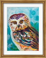 Colorful Owl Fine Art Print