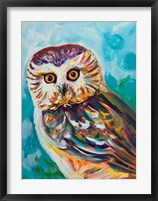 Colorful Owl Fine Art Print