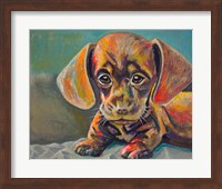 Puppy Face Fine Art Print