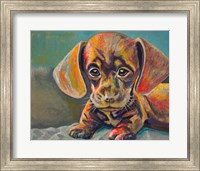 Puppy Face Fine Art Print