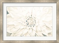 Bright White Bloom I Fine Art Print