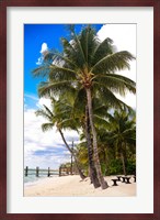 This Is Paradise Fine Art Print